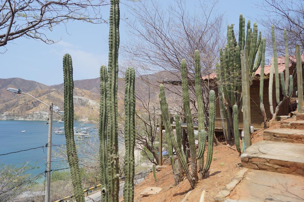 Hotel Cactus Taganga Luaran gambar