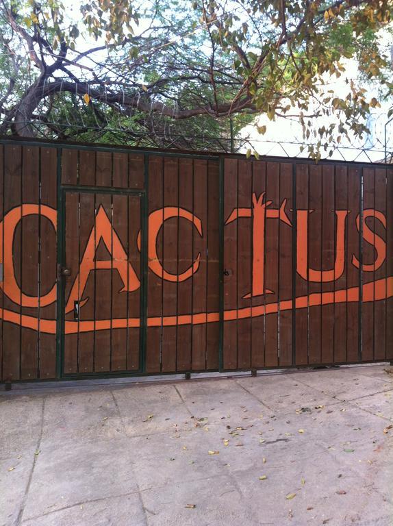 Hotel Cactus Taganga Bilik gambar