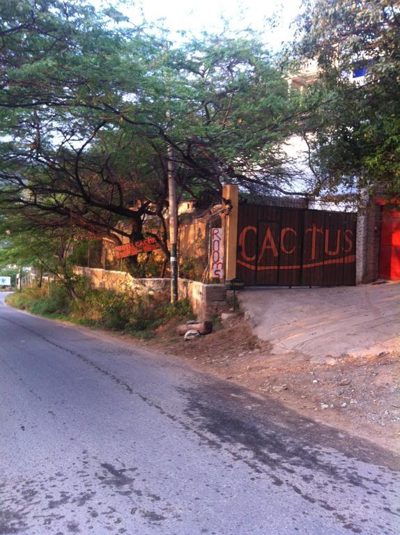 Hotel Cactus Taganga Bilik gambar
